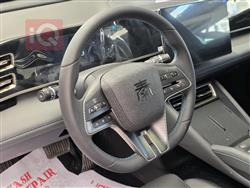 بي واي دي كوين L DM-i